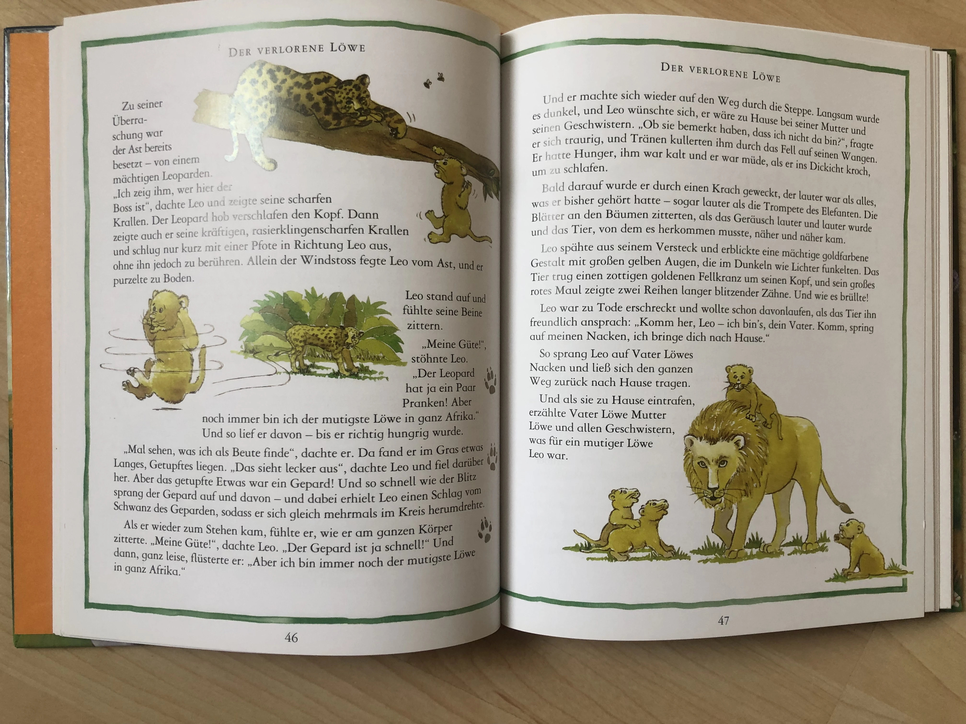 keine Beschreibung vorhanden