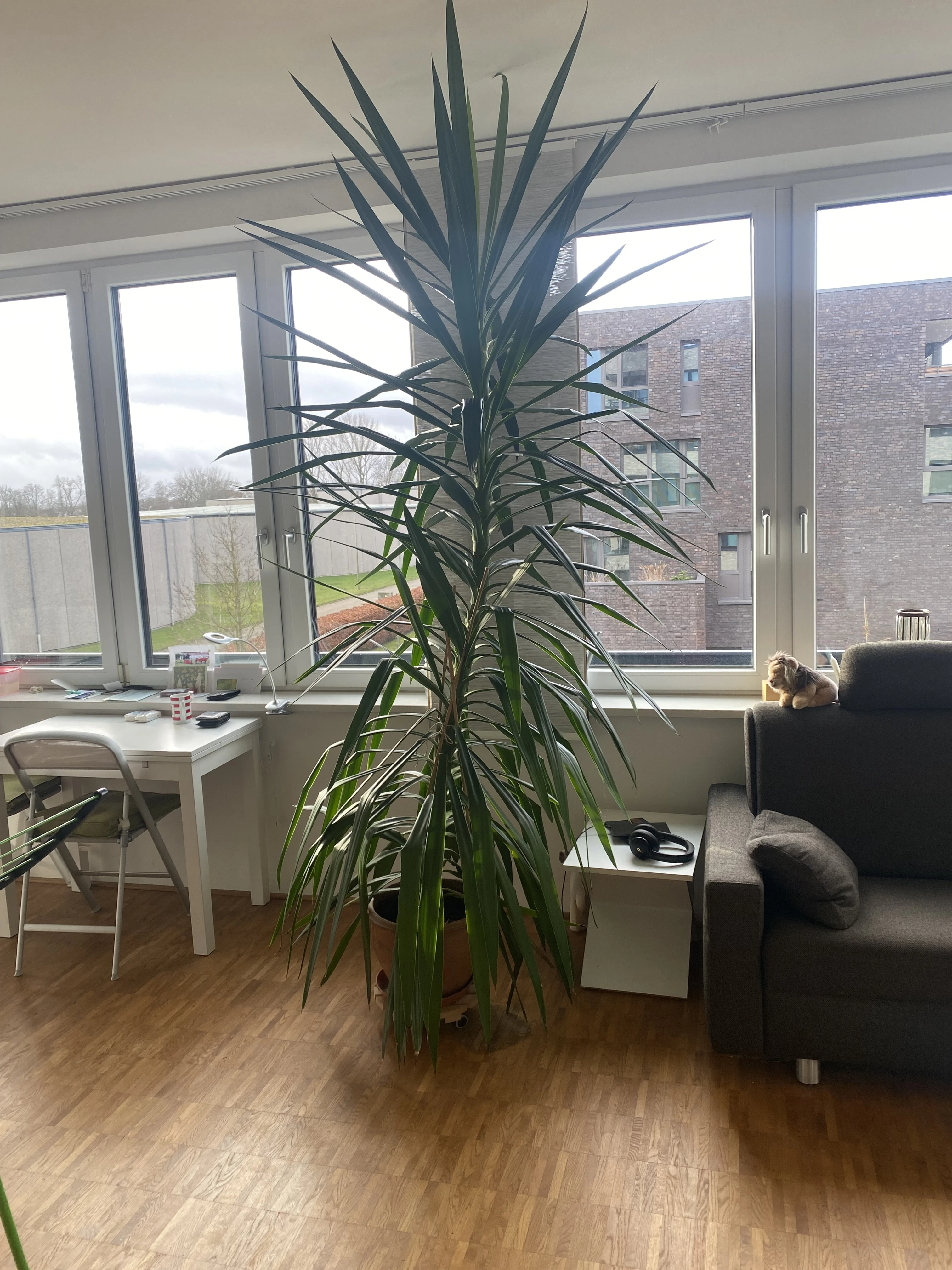 keine Beschreibung vorhanden